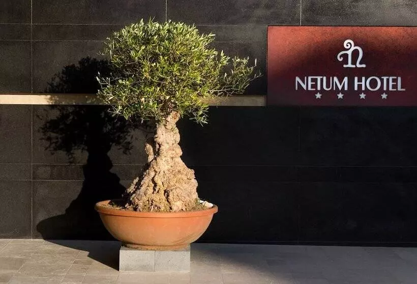 ホテル Netum