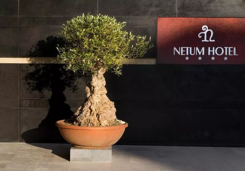 ホテル Netum