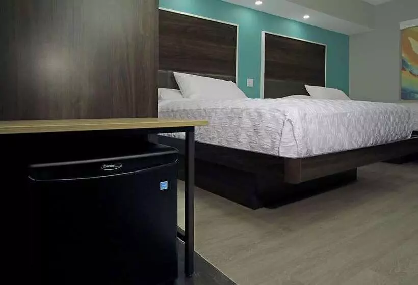 ホテル Tru By Hilton Bryan College Station