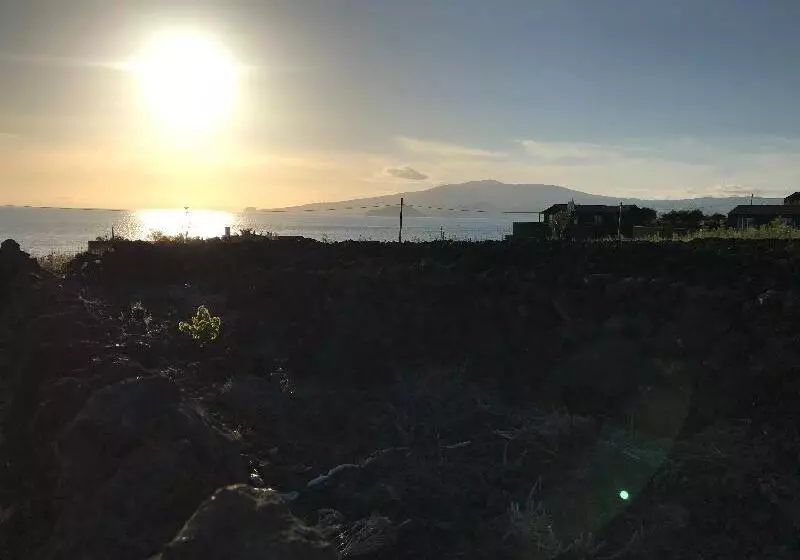 ホテル Vinhas Do Calhau