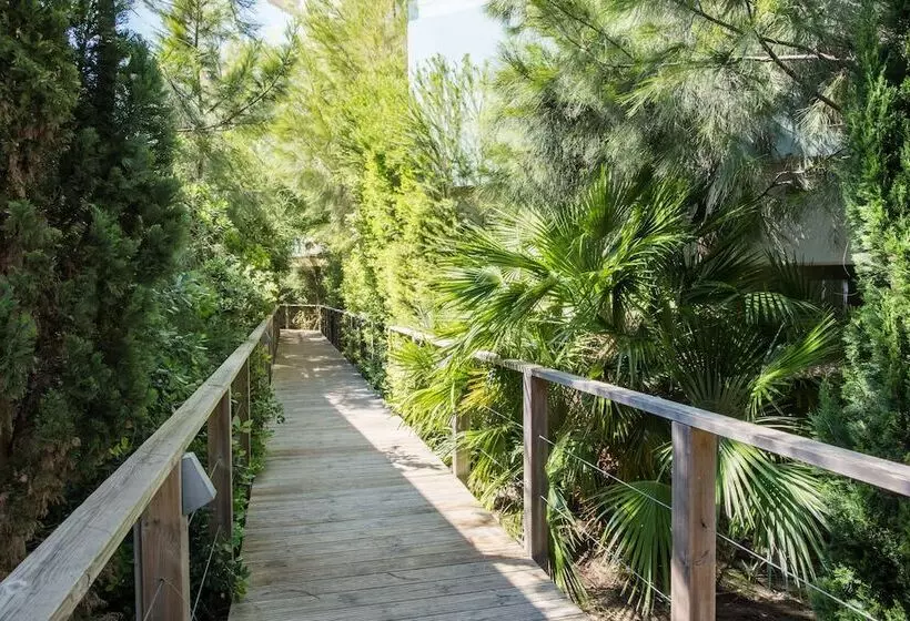 ホテル Aqualuz Troia Mar & Rio by The Editory