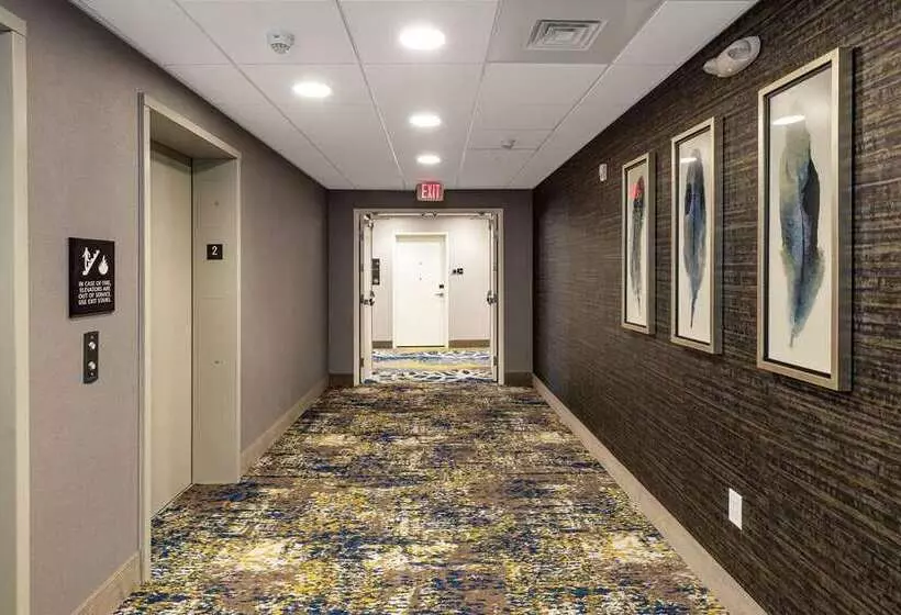 هتل Hampton Inn & Suites Columbia Killian Road