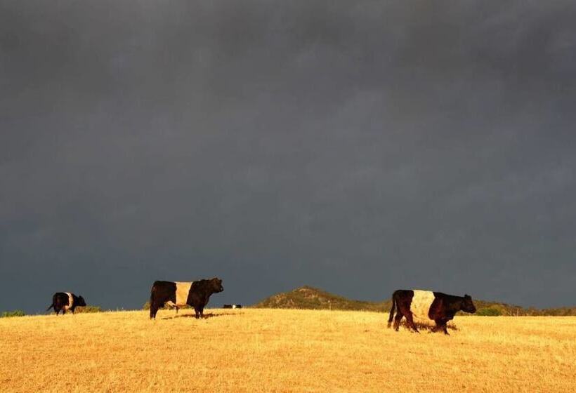 호텔 Peppertree Farm