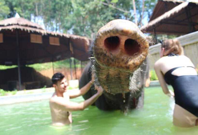 Phoenix Hotel Karon Beach