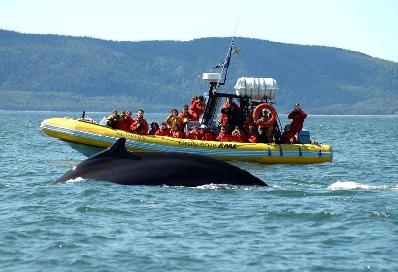 Hôtel Motel Le Beluga