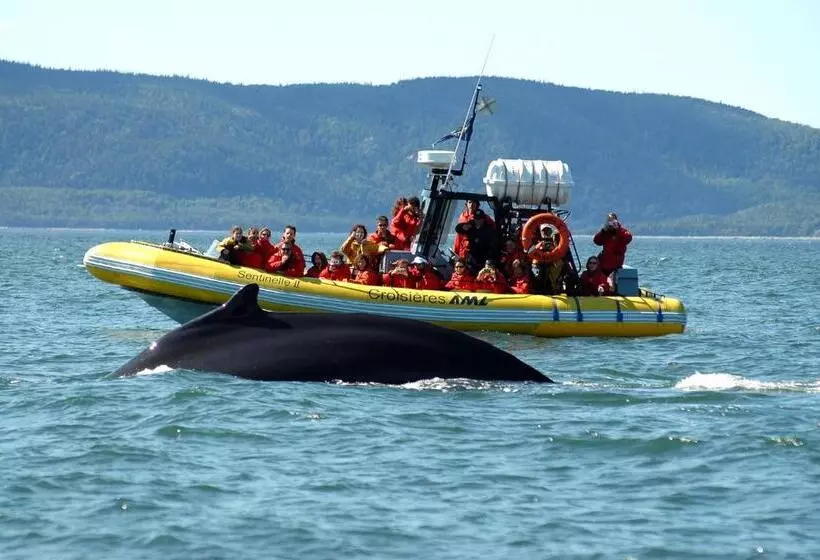 Hôtel Motel Le Beluga