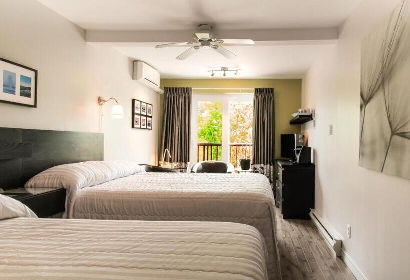 Hôtel Motel Le Beluga