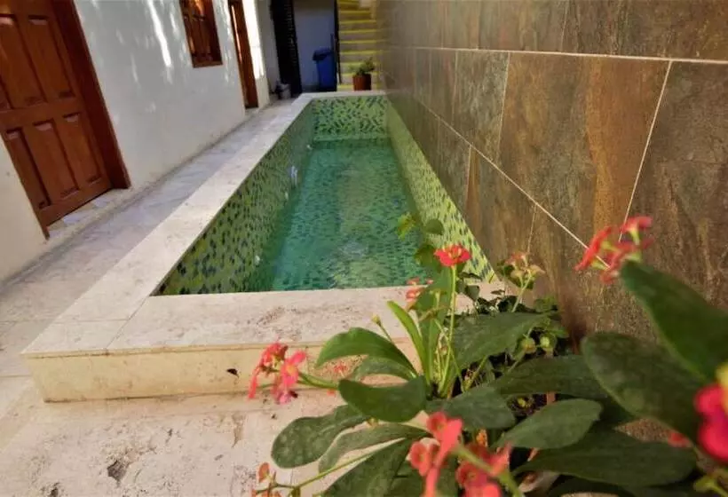 Hotelli Casa Sarah