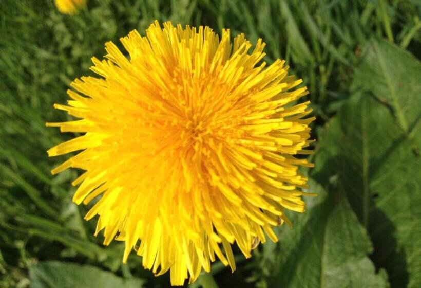 Hotel Gasthaus Zum Hirschen