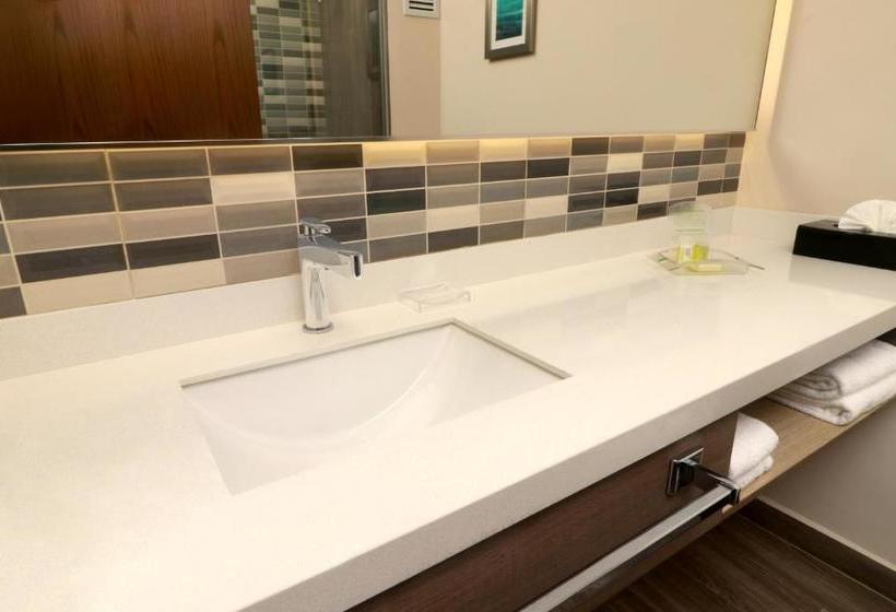 فندق Holiday Inn  Chilpancingo, An Ihg