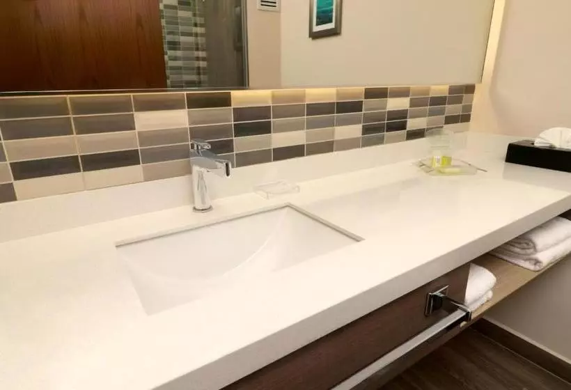 ホテル Holiday Inn  Chilpancingo, An Ihg