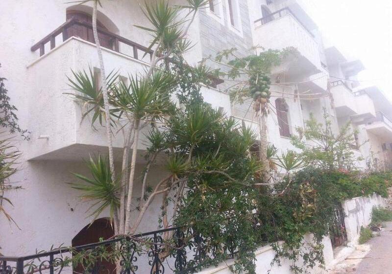 Отель Irene Apartments