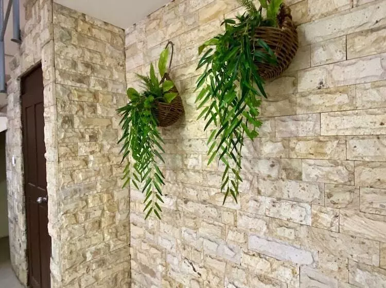 Hotelli Playa De Oro   Enfrente De Wtc Y Plazas Comerciales