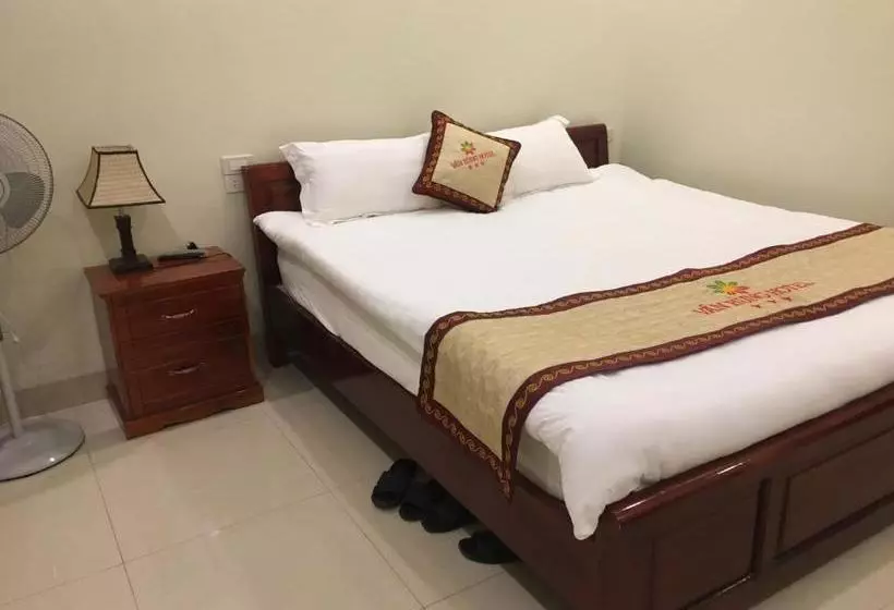هتل Sapa Van Hung
