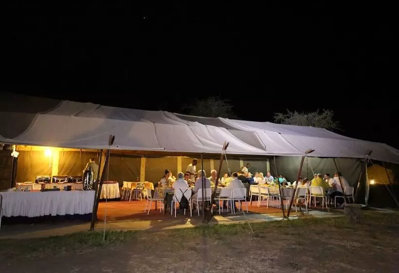 استراحتگاه Serengeti Wild Camps