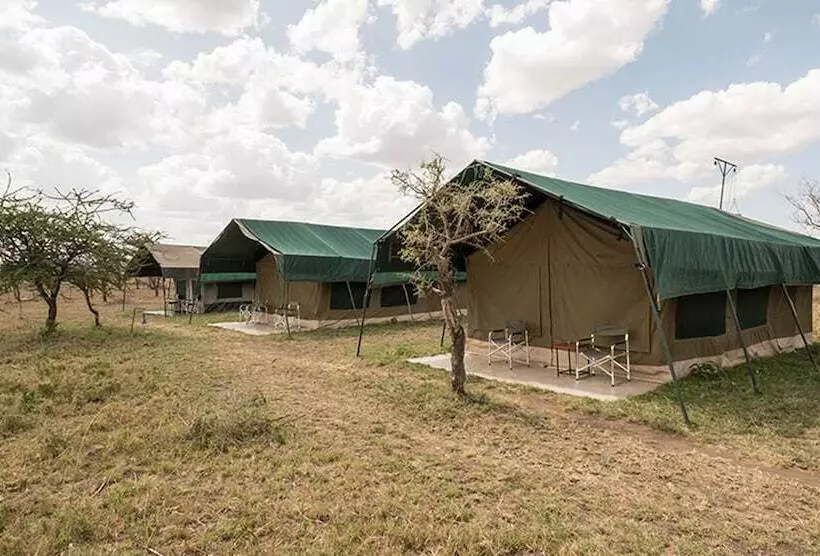 استراحتگاه Serengeti Wild Camps