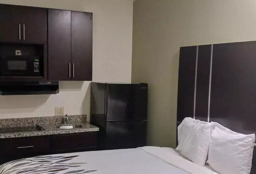 ホテル Red Roof Inn Baton Rouge