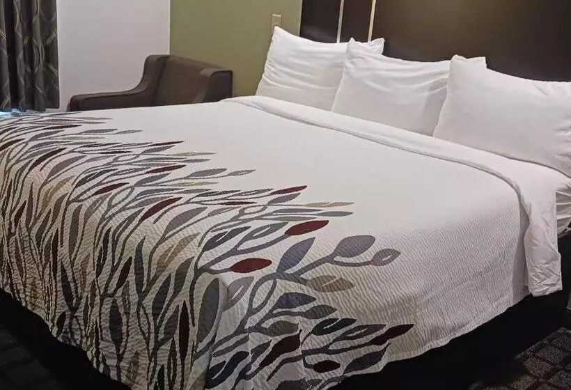 ホテル Red Roof Inn Baton Rouge
