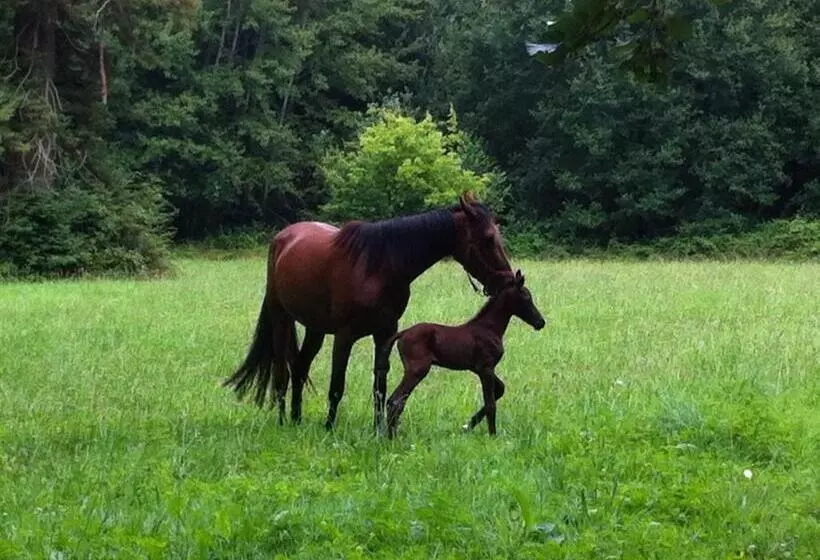 Hotelli Domaine De Bel Air