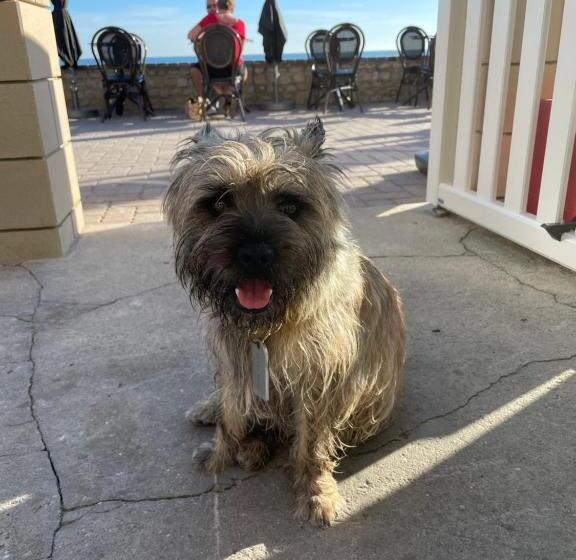 Hotel Le Clos Normand