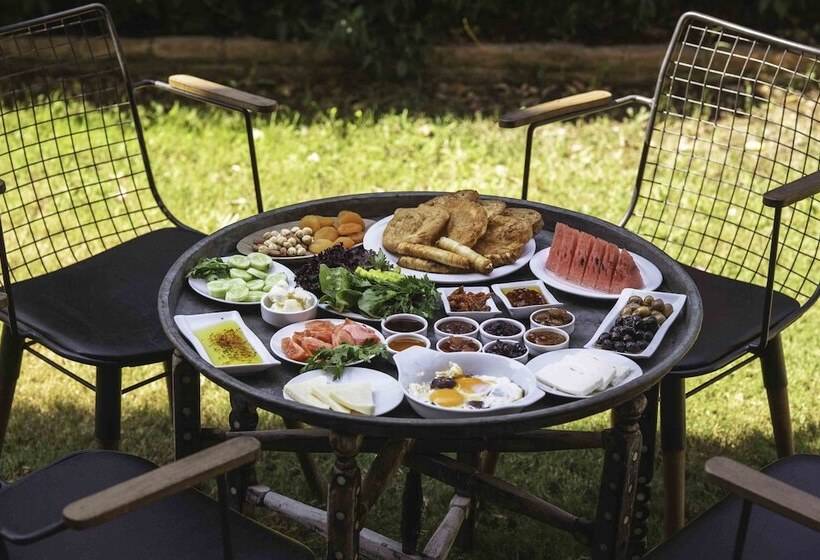 בית מלון כפרי Tas Konak