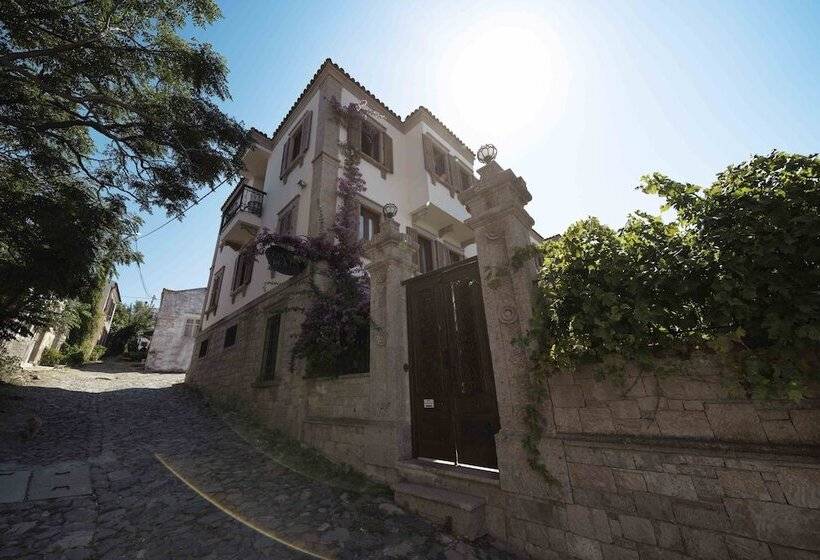 בית מלון כפרי Tas Konak