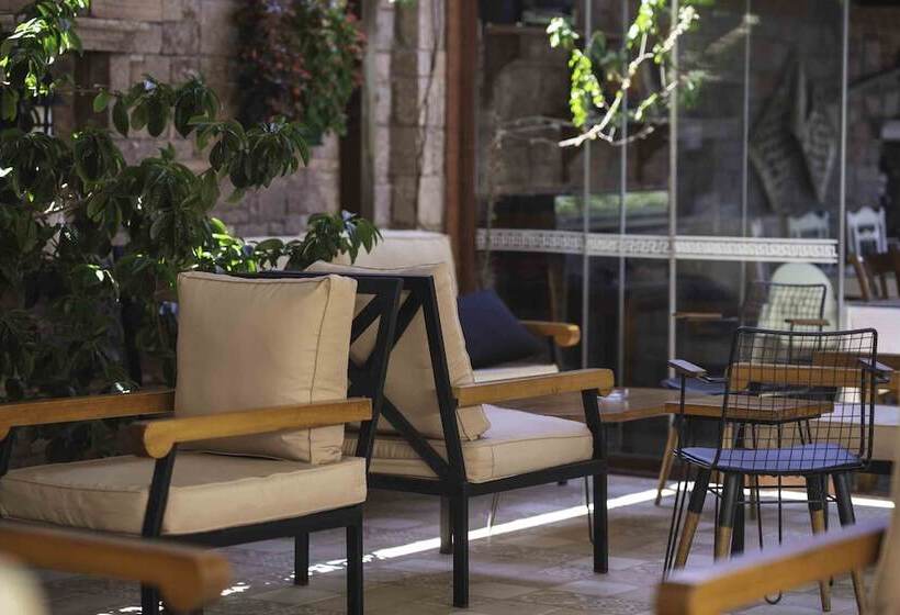 בית מלון כפרי Tas Konak