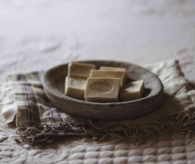 בית מלון כפרי Tas Konak