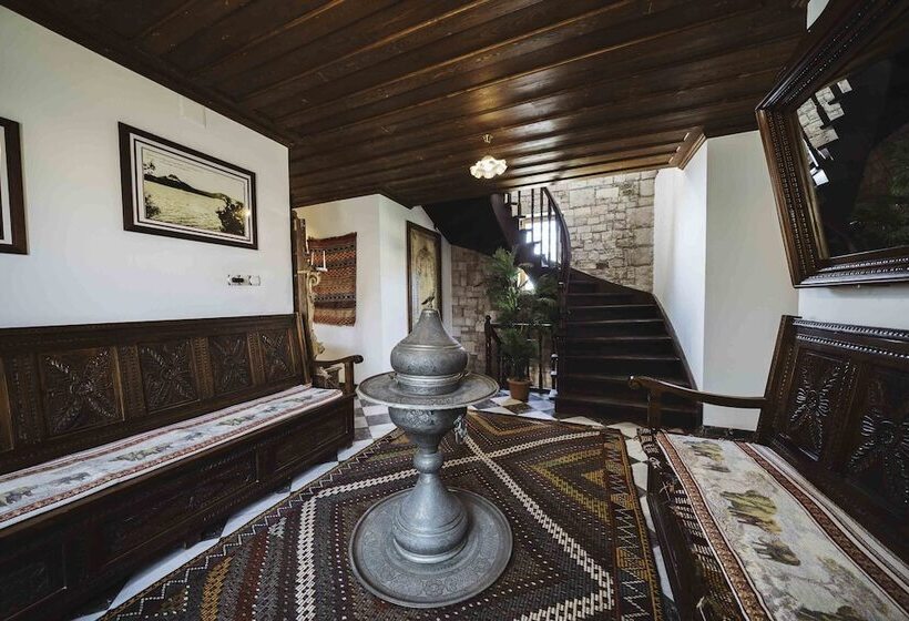 בית מלון כפרי Tas Konak