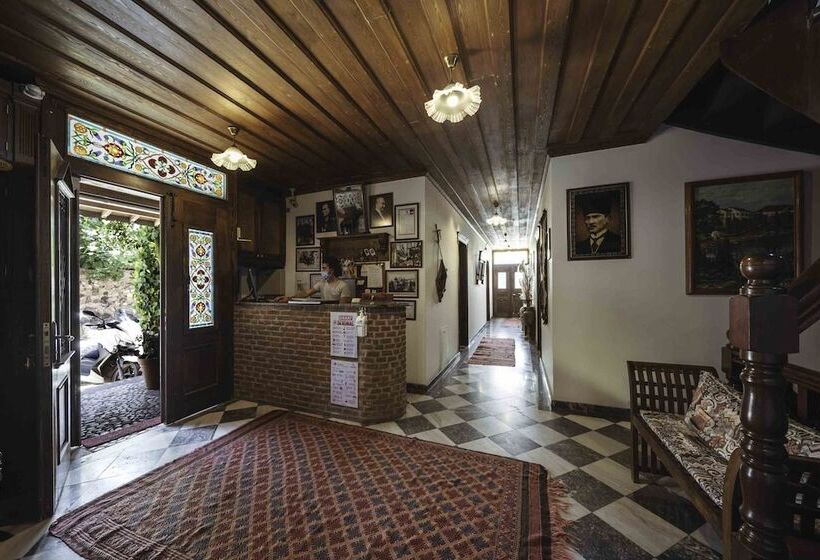 בית מלון כפרי Tas Konak