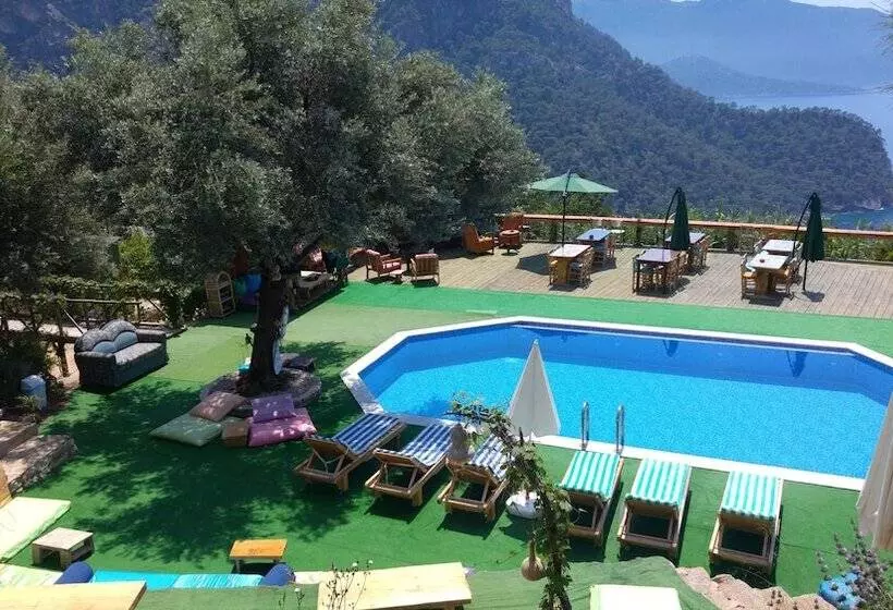 Shiva Camp