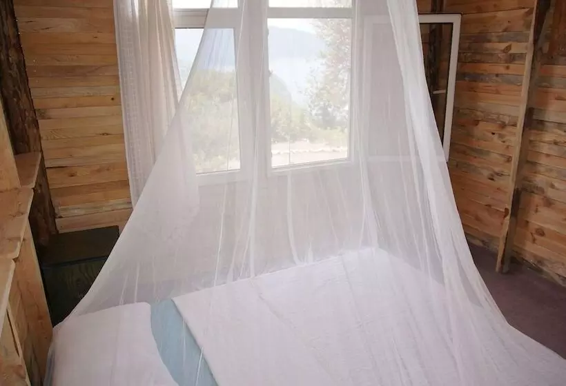 Shiva Camp
