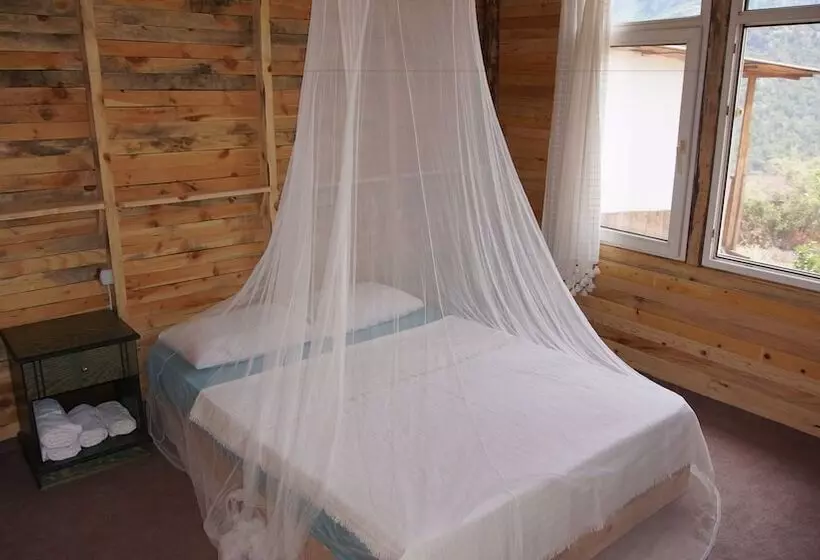 Shiva Camp