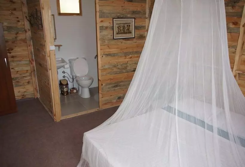 Shiva Camp