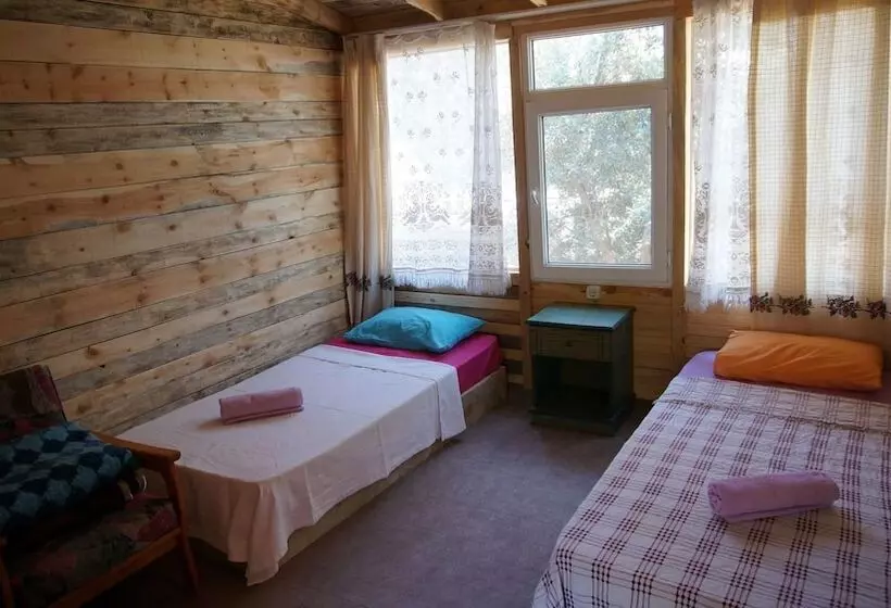 Shiva Camp