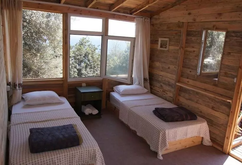 Shiva Camp