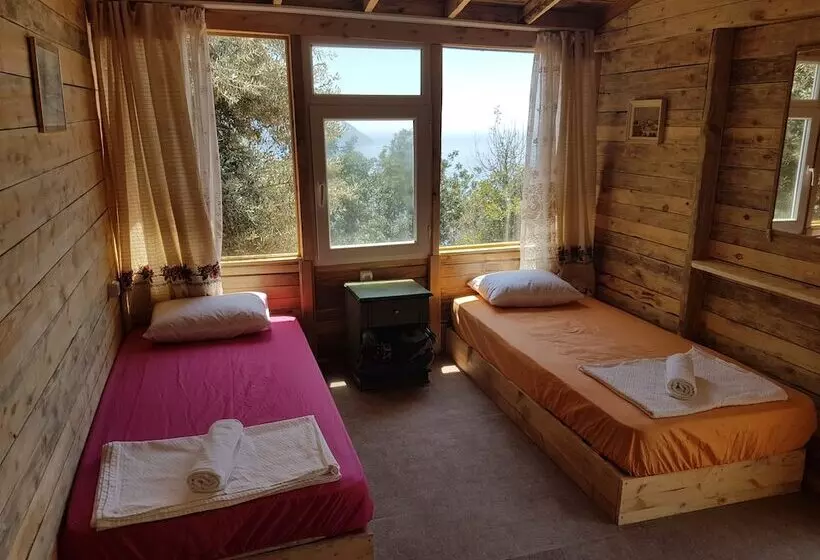 Shiva Camp