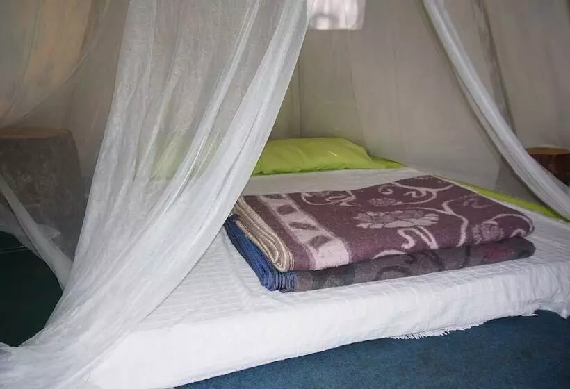 Shiva Camp