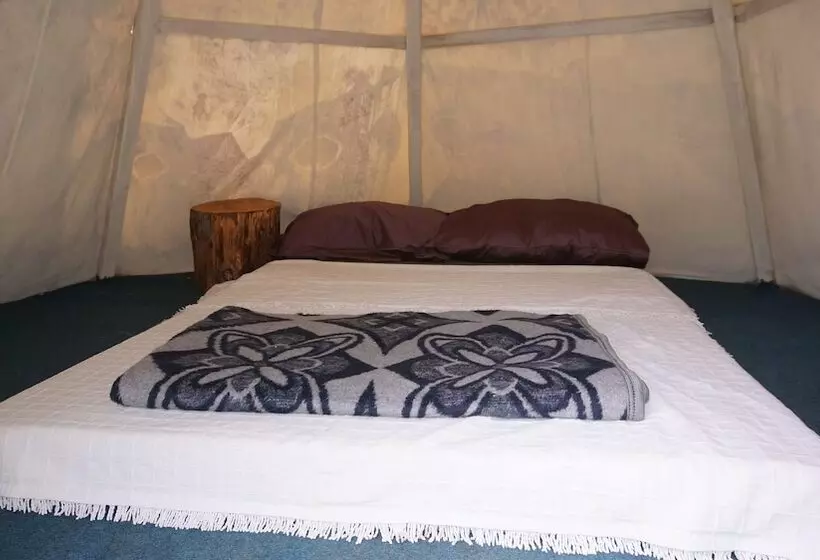 Shiva Camp