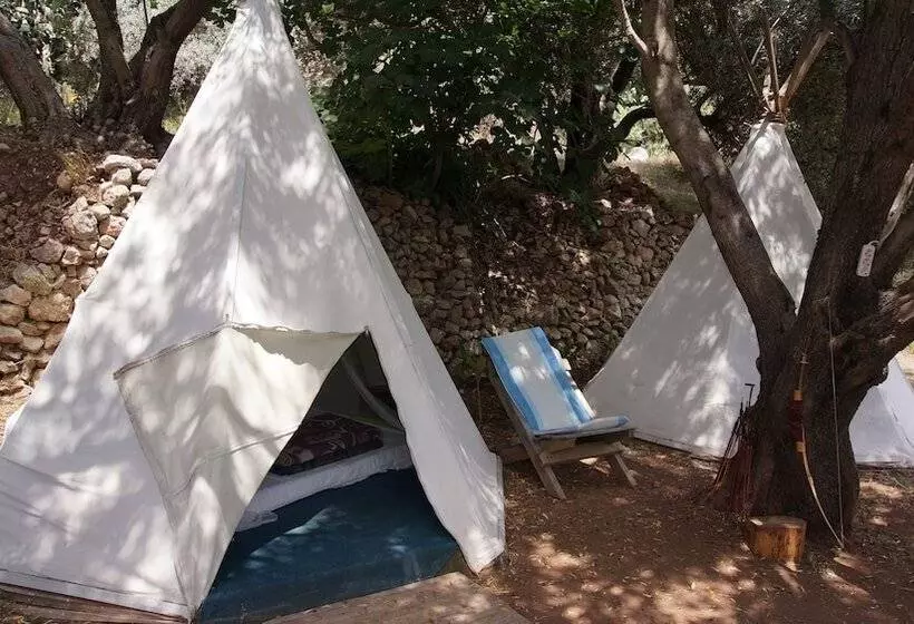 Shiva Camp
