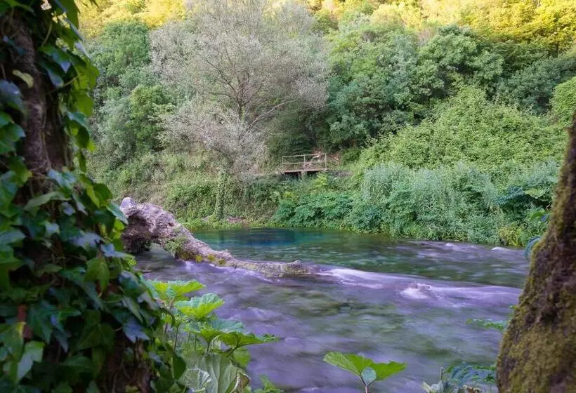 Vila Florika