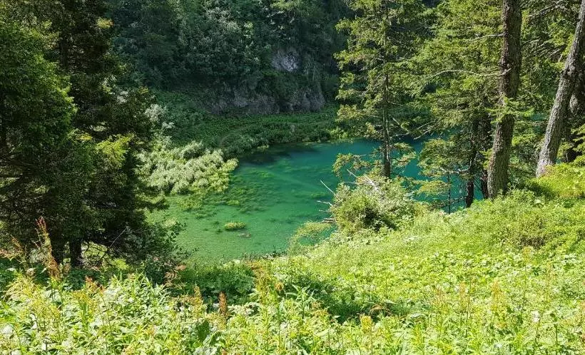 Retkeilymaja Des Alpes   Restaurant & Pizzeria