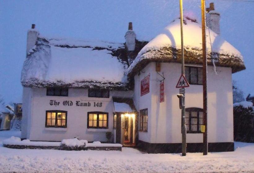 הוסטל Old Lamb