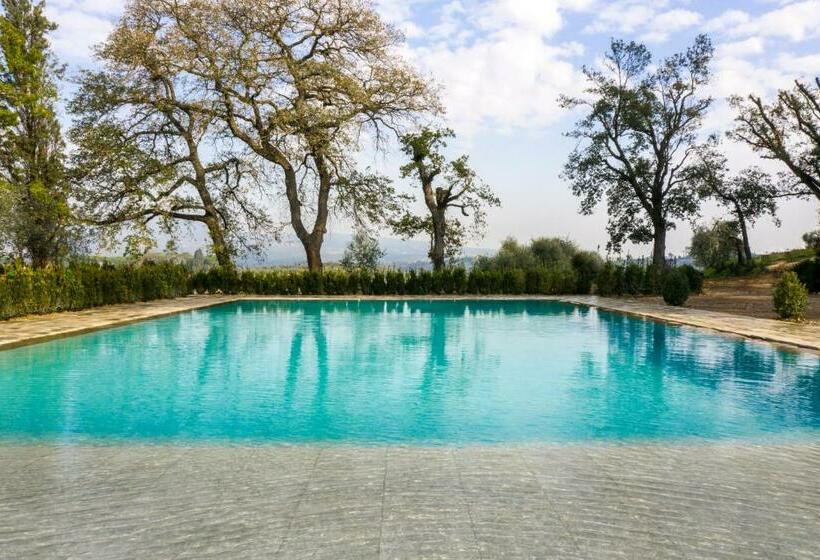 Отель Boutique Wine Resort   Villa Dianella