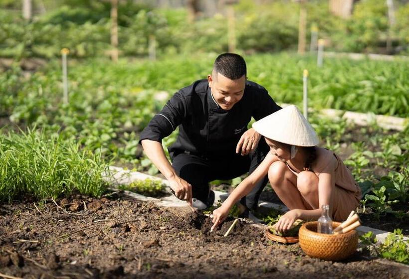 בית מלון כפרי Melia Ho Tram Beach Resort