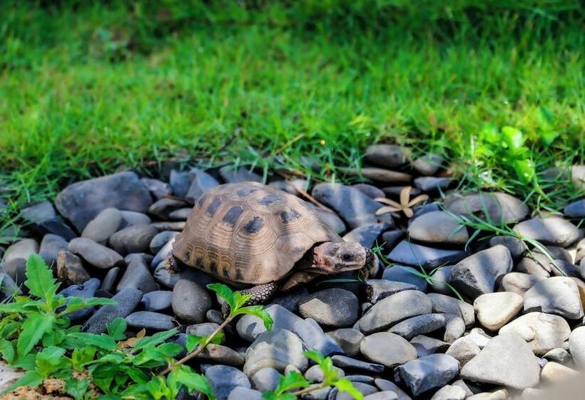 בית מלון כפרי Melia Ho Tram Beach Resort