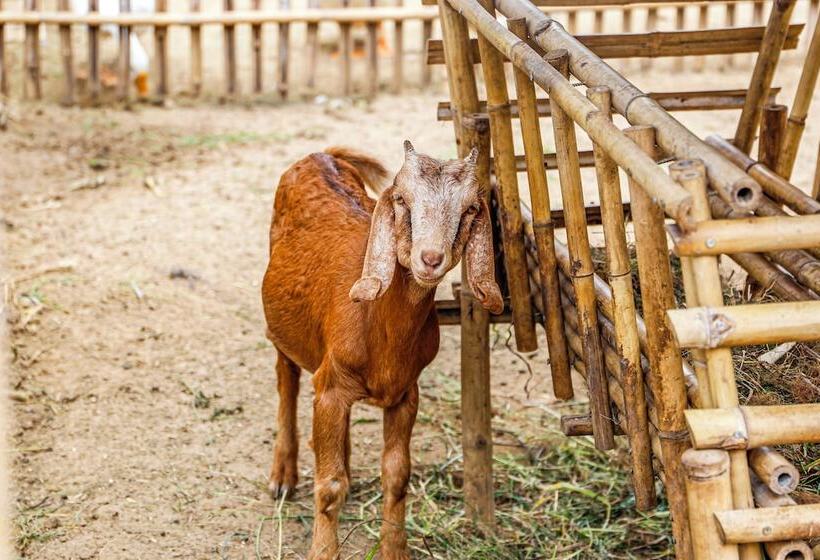 בית מלון כפרי Melia Ho Tram Beach Resort