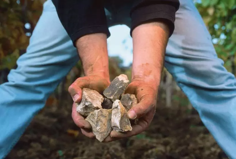 Majatalo Gasthof Hotel Zum Weinberg
