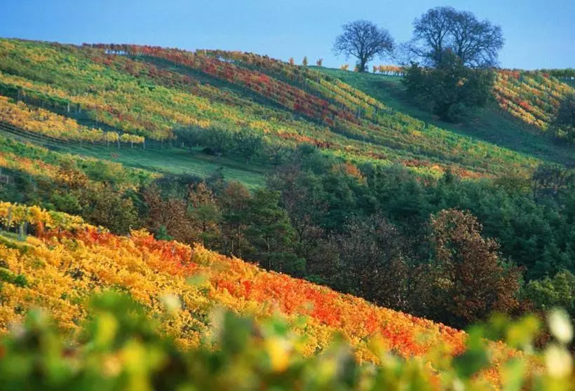 Majatalo Gasthof Hotel Zum Weinberg