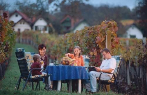 膳宿费 Gasthof Hotel Zum Weinberg